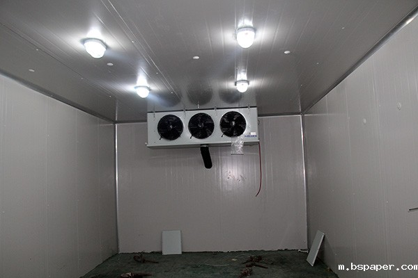 水果蔬菜气调库