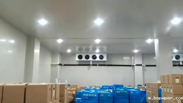 保鲜冷库安装公司优劣评估：多维度考量指南